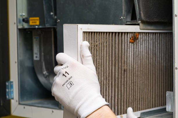 Best Air Duct Cleaning Near Me  in Orange Park, FL
